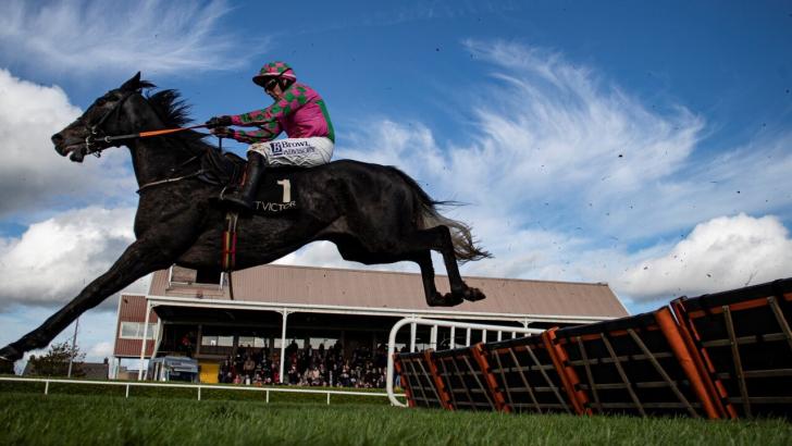 Wexford Racecourse